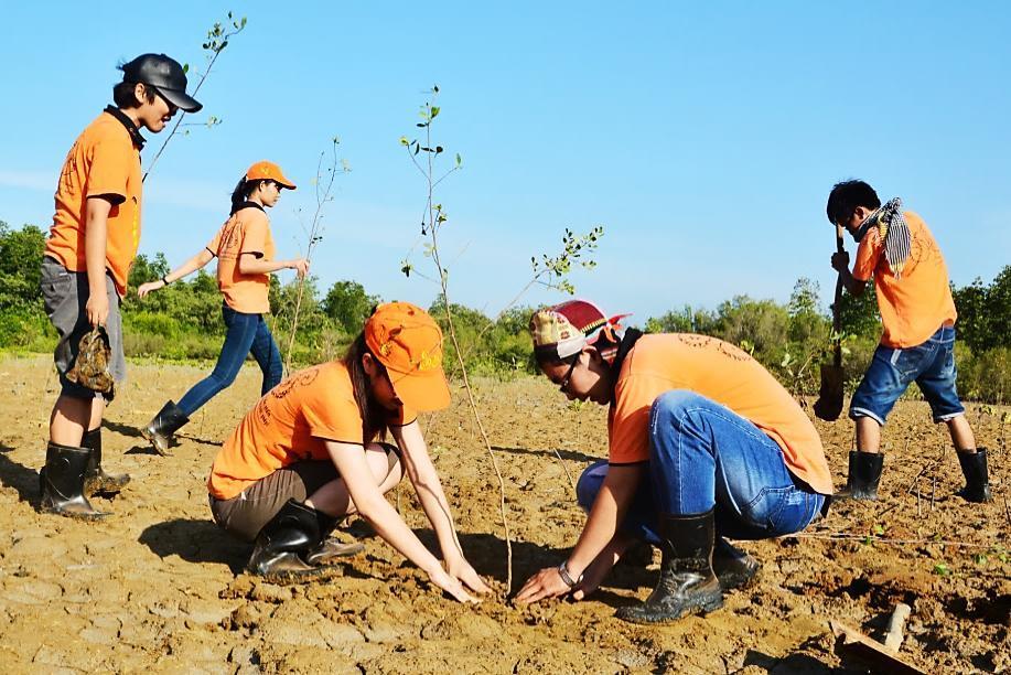 Planting Mangrove forest trees WAR/Do Thi Thanh Huyen Gabber Night Last April, volunteers of the SOS Programme from 2011 to 2016 had an opportunity to get together to exchange