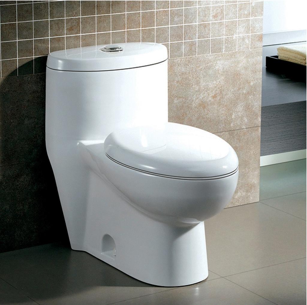 TOILETS HUDSON Akuavit by Adornus Eco friendly single flush design Jet Siphonic one piece toilet
