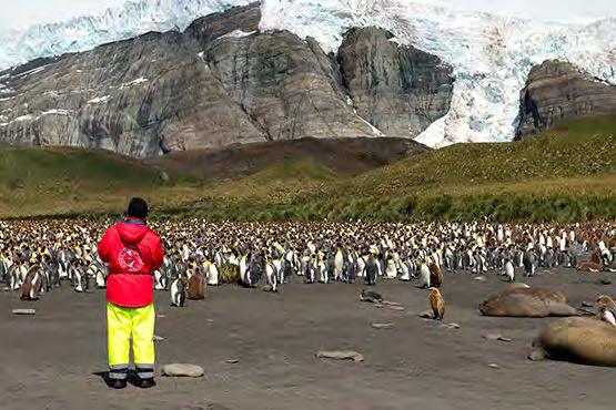 We visit scientific stations representing several different countries and learn about Antarctic scientific researches straight from the source.