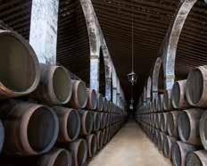 (among bulls and horses) HD English local guide Cádiz Winery and tasting in Jerez HD local guide in Sevilla 1