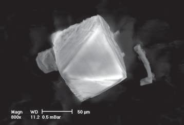 Flinders 6 MD 250 m 20 Photomicrographs of Eurelia microdiamonds 20 Polished Prices