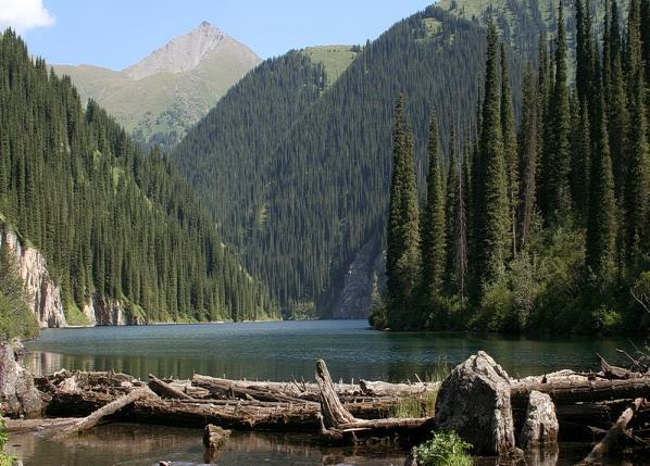 The highest lake is small. It is located on the border of fir-wood and the alpine meadows and amazes by its harsh alpine beauty, as well as the rich flora and fauna.