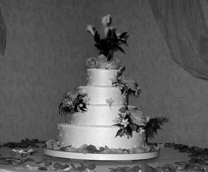And then when the bride and groom went to cut their cake from Bit o' Swiss in Stevensville, Torey Klint and I made quick work of the buffet tables so revelers could hit the dance floor and bogey to