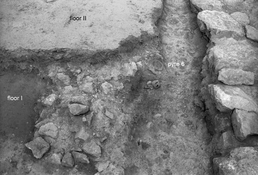 catalogue 109 Figure 30. Pyre 6 in situ, looking west, showing relationship of pyre to prebuilding surface (floor I) and to earliest floor of room (floor II). North wall of room 2 at right.
