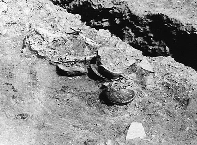 Front row: P 18474, P 18473, P 18459, P 18458 (plates). Scale 1:5 Immediately north of house. Concentration of artifacts, small pieces of bone, and burnt material in stratum, no pit discerned.