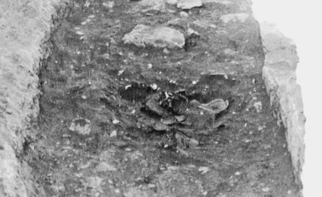 156 catalogue Figure 86. Pyre 43 in situ, looking north, documenting the presence of bone 44 (B 19:5) Figs. 1, 4, 6, 78, 87 89 Section ΝΝ, no lot; RSY, 1947. Undisturbed. Young 1951b, pp.