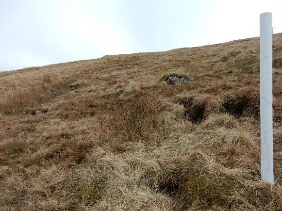 moorland, which can be soft in places, particularly in wet weather. Horse riders would also need to be particularly careful in using this section of path not to cause damage to the fragile ecosystem.
