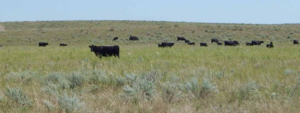 NEBRASKA/COLORADO PROPERTY DIRECTIONS: North Tract: From