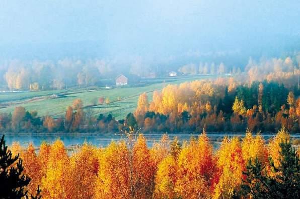 Sweden Deluxe *NEW* 6 nights / 7 days Experience the stunning autumn in the Swedish Lapland An area famous for its magical winters but possibly more stunning in the autumn.