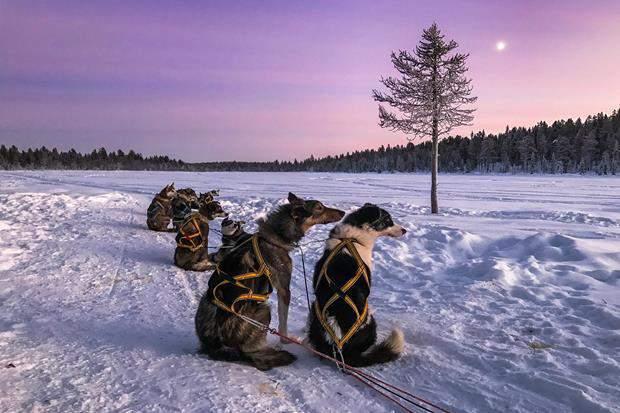 Alta Borealis *NEW* 4 nights / 5 days Winter activities and the City of the Aurora Experience the real Norwegian winter in the enchanting area of Alta!