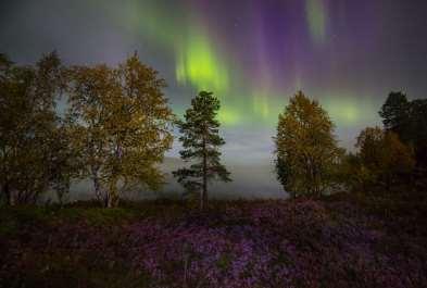 Northern lights in the Arctic 4 Nights / 5 days Saariselka Travelling to Finnish Lapland in the autumn months should be on everyone s bucket list.
