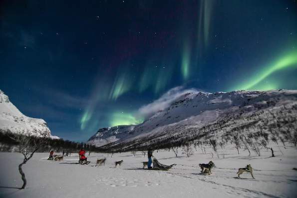 Tromsø is known as the Gateway to the Arctic, and with the most Northern Lights in the world, Tromsø is where your Arctic adventure begins!