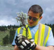 For eleven weeks, crews work side by side with park and forest service professionals in Rocky Mountain Na onal Park and na onal forests building and maintaining trails, restoring na ve habitat and