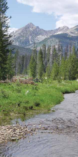 Land Protection Protec ng our na on s valuable lands Since the early 1980s, the Rocky Mountain Conservancy has assumed a leadership role in acquiring many important parcels of land, both in Rocky