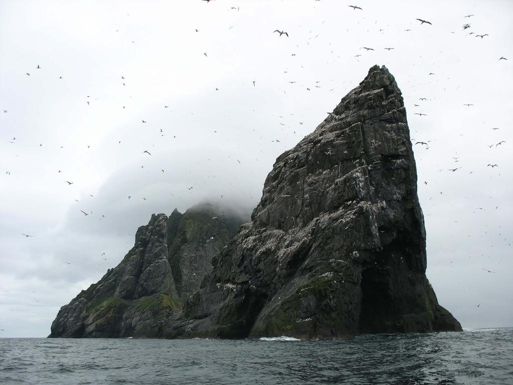 Outer Hebrides and St Kilda On this trip we will explore the Outer Hebrides far off Scotland s west coast, discovering its abundant wildlife, including some of the rarest wildlife to be found in