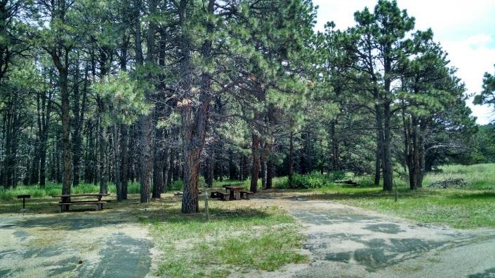 Steer Creek Campground Corral Purpose and Need The purpose of this project is to increase the availability of camping experiences and services for equestrians at the Steer Creek Campground in the