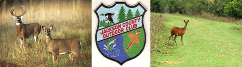 1 March/April 2019 Jackson County Outdoor Club News Inside this issue: President, Kitchen, Clubhouse rentals Property Rentals Archery Ranges, Buildings and Grounds Membership, Newsletter and Social