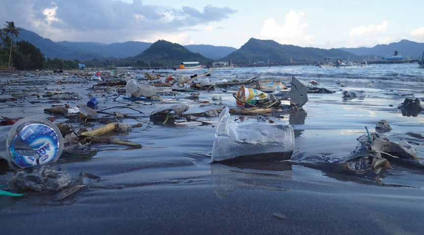 THE RESEARCH TURNING THE TIDE ON PLASTIC POLLUTION IN BALI THE STORY Plastic ocean debris is one of the most pressing environmental issues of our time.