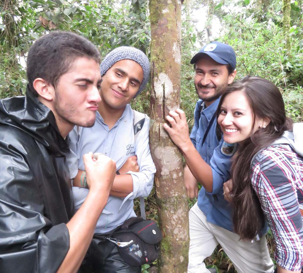 The tool ABCA developed a cost-effective tool to assess the conservation status of Andean bear populations, which was the main objective of ABCA s 2011-2015 Strategic Plan.