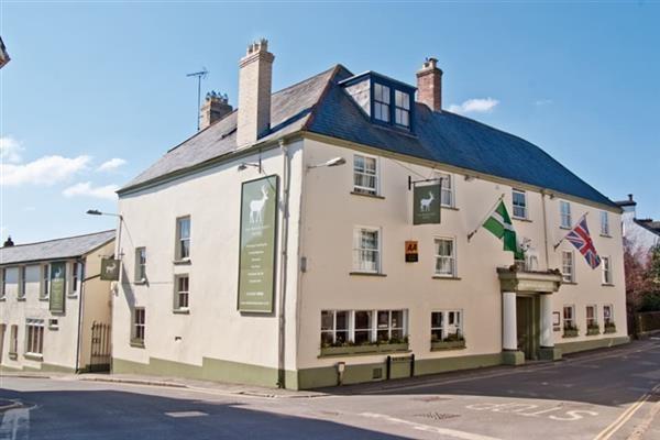 The hotel is in an ideal place for us to explore this beautiful area of Devon. The hotel has 20 well appointed bedrooms in the main hotel building and 8 bedrooms in a separate mews building.