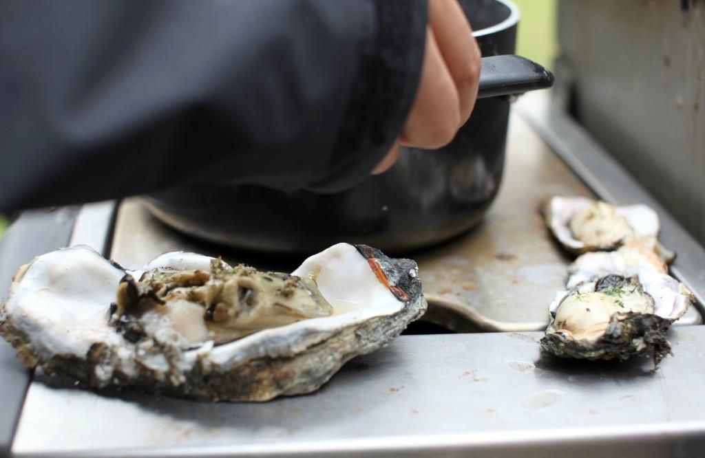 The Danish Shellfish Center You can join ranger-guided oyster-hunting tours on the natural sandbanks of North Jutland.