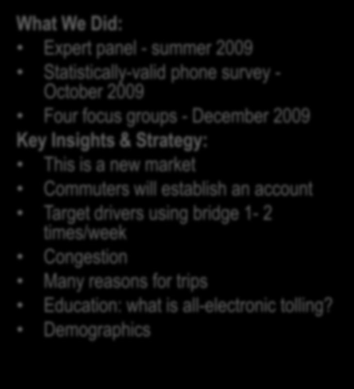 What We Did: Expert panel - summer 2009