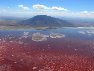 Region Description Highlights Ideal for Lake Natron Wild and remote Lake