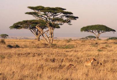 Hiking Ideal for people looking for untouched wilderness areas Serengeti