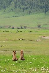 Region Description Highlights Ideal for Ngorongoro Crater The spectacular