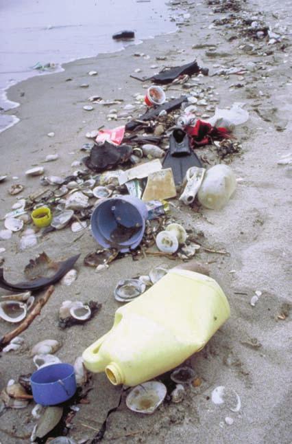 Introduction Marine and other aquatic debris are more than unsightly inconveniences for beach-bound vacationers or pleasure boaters; they are one of the most pervasive pollution problems affecting