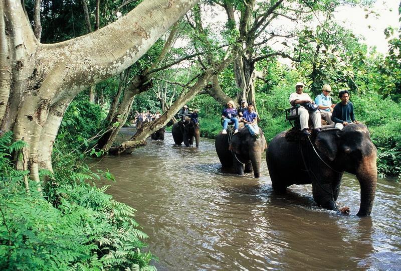 WANG PHO ELEPHANT CAMP Wangpo-Elephant Camp is located outside Kanchanaburi city about 30 minutes by car