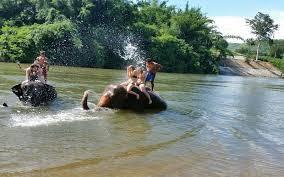 One of the most famous elephant camps in Thailand is the Wang Po elephant camp in the wonderful and