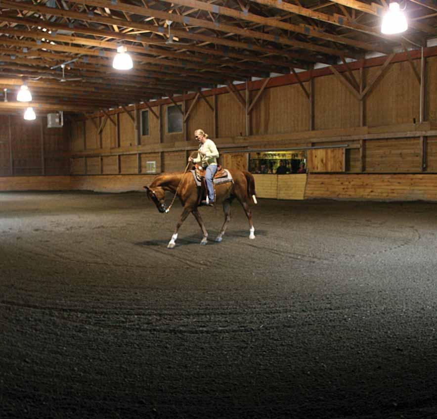Horse Facilities: These are four-star equine accommodations.