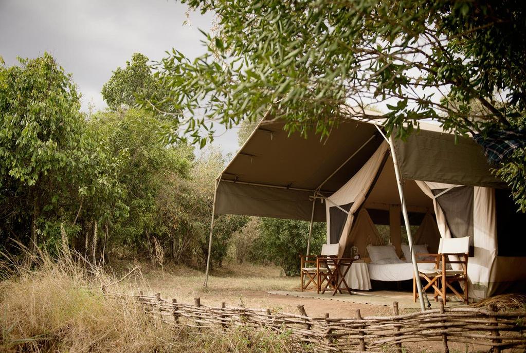 Awaken feeling part of a nature documentary amidst lions, zebras and buffaloes This reserve