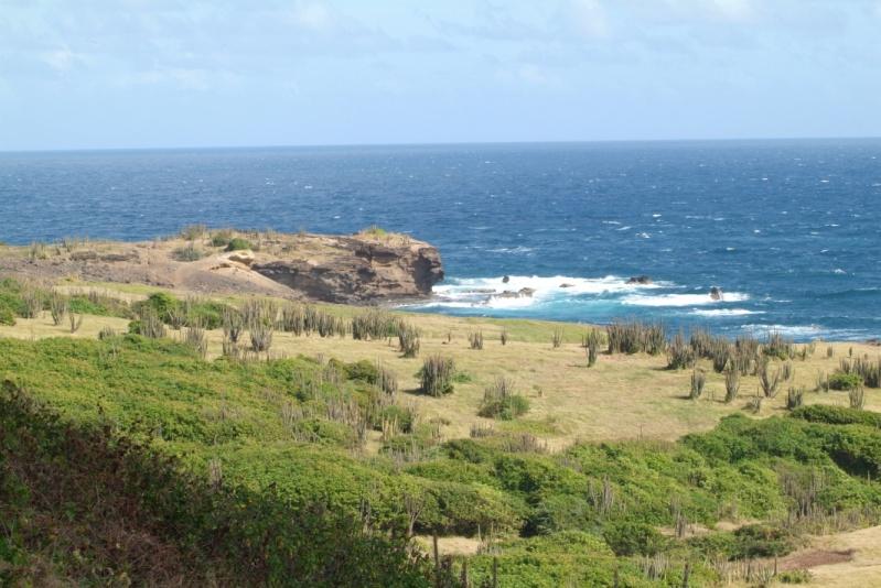 RIVER DOREE Approximately 192 acres. Relatively flat with a coast line spanning over 1520m / 5000 feet along the Caribbean Sea.