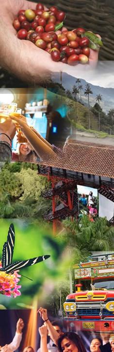 dance, visit theme parks that represent the culture of the coffee axis, its fauna and flora and much more.