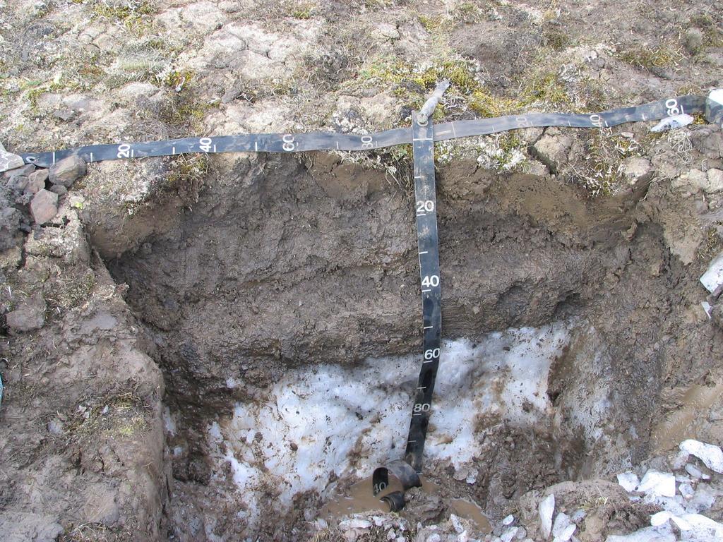 Active Layer In environments containing permafrost, the active layer is the top layer of soil that thaws during the summer and freezes again during the autumn.