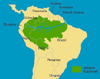Amazon Rainforest 2.5 million square miles, representing 54% of the total rainforests left on the planet. Covers 60% of Brazil. Lungs of the world produces 20% of the earth s oxygen.