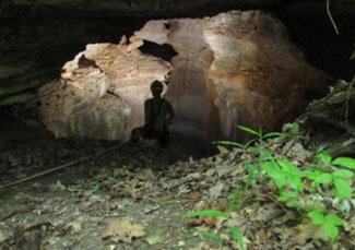 Varnedoe Cave