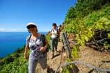Skip the line tickets are available at an 7-hour Hiking & Wine Tour Enjoy walking along one of the less frequented trails to enjoy stunning views of the Cinque Terre, and visit a local winery for a