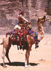 THE KINGDOM OF JORDAN Trip Outline Jordan has fascinated visitors for centuries with its stunning desert landscapes, a plethora of ancient towns and amazing World Heritage sites.