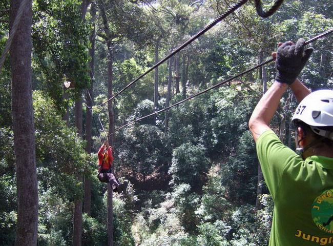 JUNGLE ADVENTURE PARK Jungle Adventure was the first active park built in Italy by a French idea all that combined the Parcour with the nature of the forests.