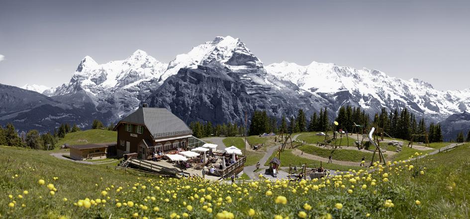 Mürren and the Schilthorn, with its revolving restaurant, offer stylish surroundings for any event. 50 400 approx. 4.5h from CHF 140.