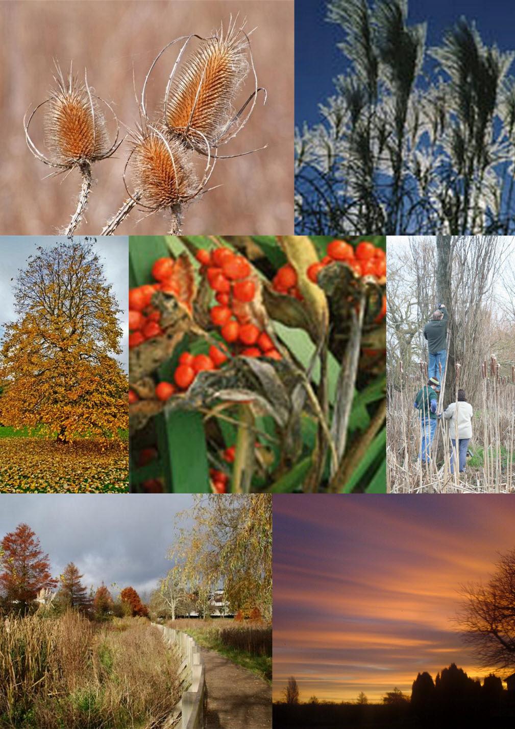 Four Seasons of