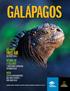 GALAPAGOS FREE AIR ACT NOW! RETURN OF A SELLOUT! WITH ON SELECT DATES 2-WEEK PHOTO EXPEDITION DECEMBER 2016