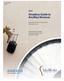 2010 Amadeus Guide to Ancillary Revenue by IdeaWorks, Page 1