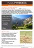 The Best Of The High Pyrenees : From Lourdes To The Stars