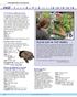 JULY. programs & events. 1 The Story of Maude Essig. 5 Nature Nuts: Turtles. 7 Give Me Millstones for $50: 9 Kellogg Bird