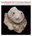 Çatalhöyük 2015 Archive Report by members of the Çatalhöyük Research Project