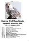 Crew. Snowy Owl Handbook. Ingawanis Adventure Base January, 2016